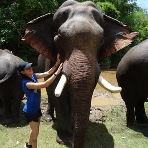 Meet your Posher, Brittany